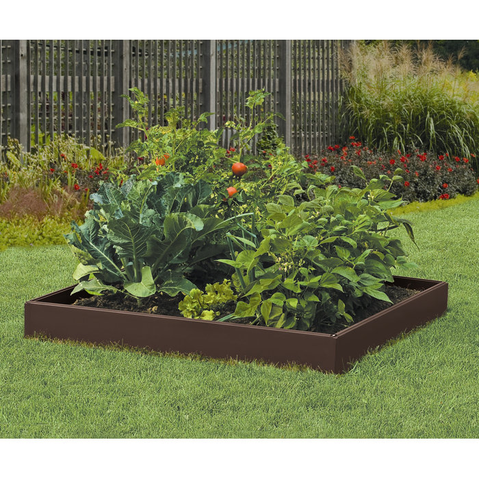 Suncast 4 ft x 4 ft Resin Raised Garden Bed & Reviews Wayfair.ca